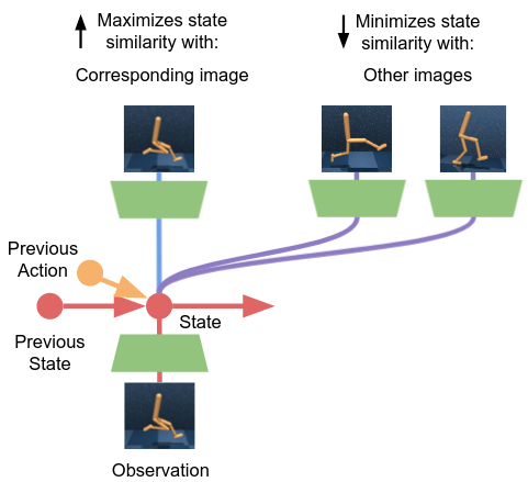 Schema of the dynamics model illustrating the contrastive learning mechanism