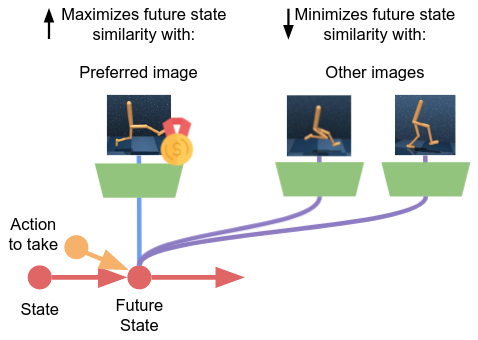 Schema of the dynamics model in the future illustrating the contrastive learning mechanism for planning actions