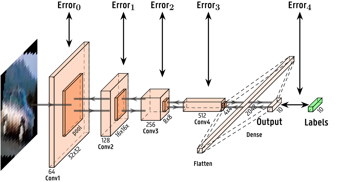 cnn_pred_cod_rotated