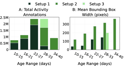 Dataset statistics by age group
